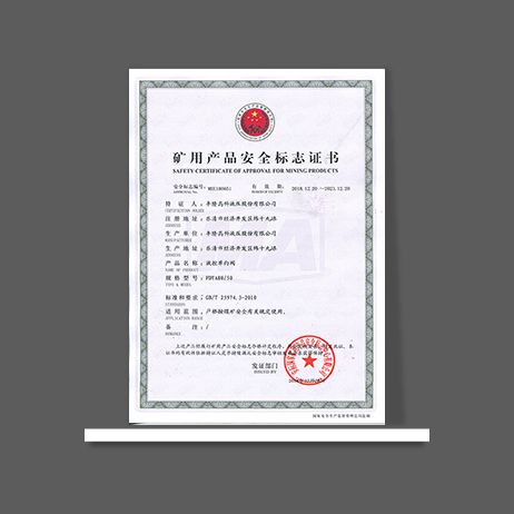 FDYA125-50单向阀